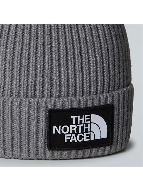  THE NORTH FACE | NF0A8CGU/DYY1
